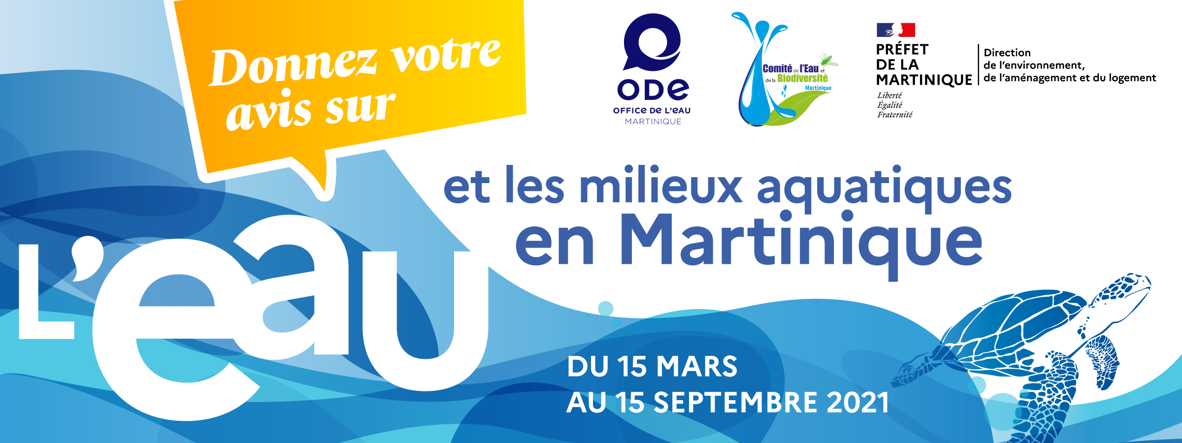20165_DSAGE_BaniereGUADELOUPE-MARTINIQUE3